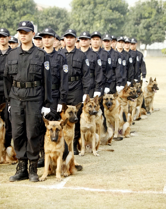 警犬防范服務(wù) 
